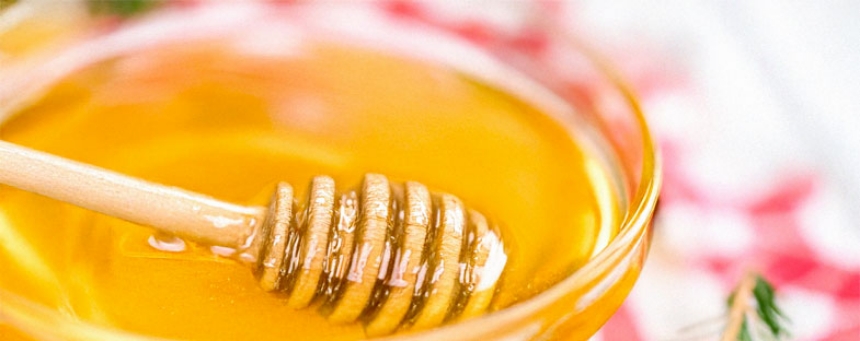 Greek Raw Fir Honey – Nature’s Antibiotic in a Jar