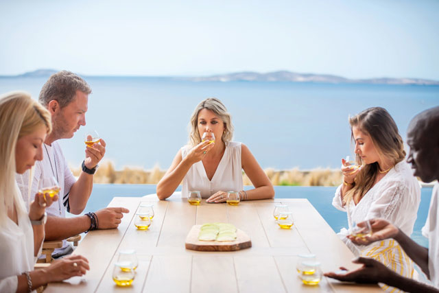online Olive Oil Tasting